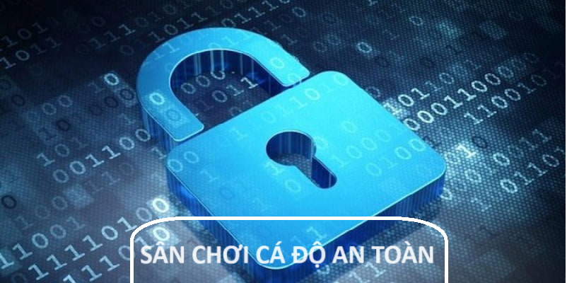 Sân chơi cá cược an toàn 