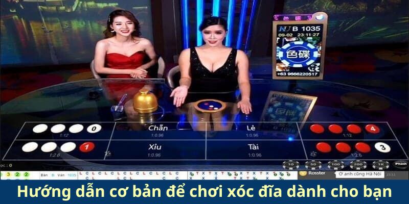 Hướng dẫn cơ bản để chơi xóc đĩa dành cho bạn