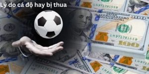 Lý do cá độ hay bị thua