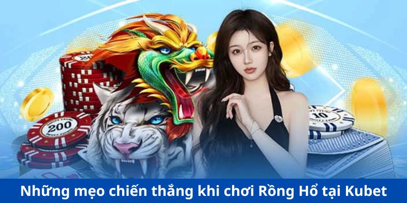 Những mẹo chiến thắng khi chơi Rồng Hổ tại Kubet