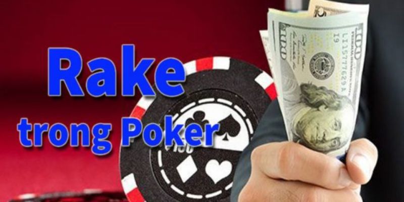 Rake trong Poker: Làm sao để không bị ‘móc túi’ khi chơi