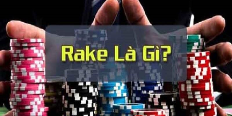 Tại sao Rake quan trọng? Bí quyết để chơi Poker có lãi