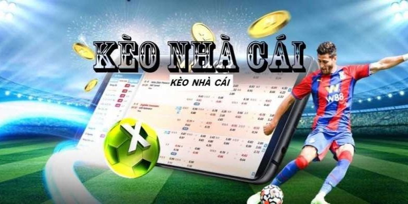 Thông tin tổng quan về kèo nhà cái Kubet