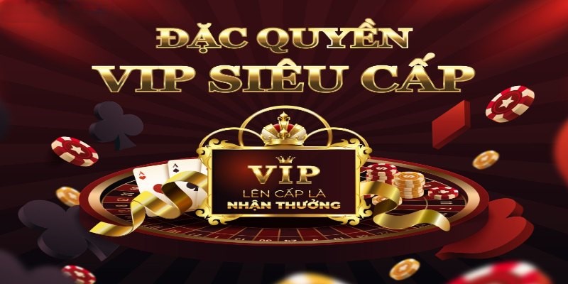 Thành viên VIP sẽ được hưởng nhiều quyền lợi, tiện ích độc quyền